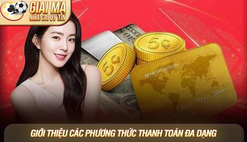 Giới thiệu các phương thức thanh toán đa dạng Giới thiệu các phương thức thanh toán đa dạng